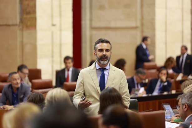El consejero de Sostenibilidad, Medio Ambiente y Economía Azul, Ramón Fernández-Pacheco, en el Parlamento andaluz. (ROCÍO RUZ - EUROPA PRESS)