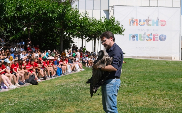 Francisco Rodríguez con una cría de quebrantahuesos de 4 meses al inicio del taller `Rapaces en vuelo` en el Parque de las Ciencias (PARQUE DE LAS CIENCIAS)