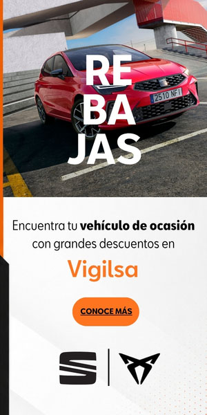 Vigilsa
